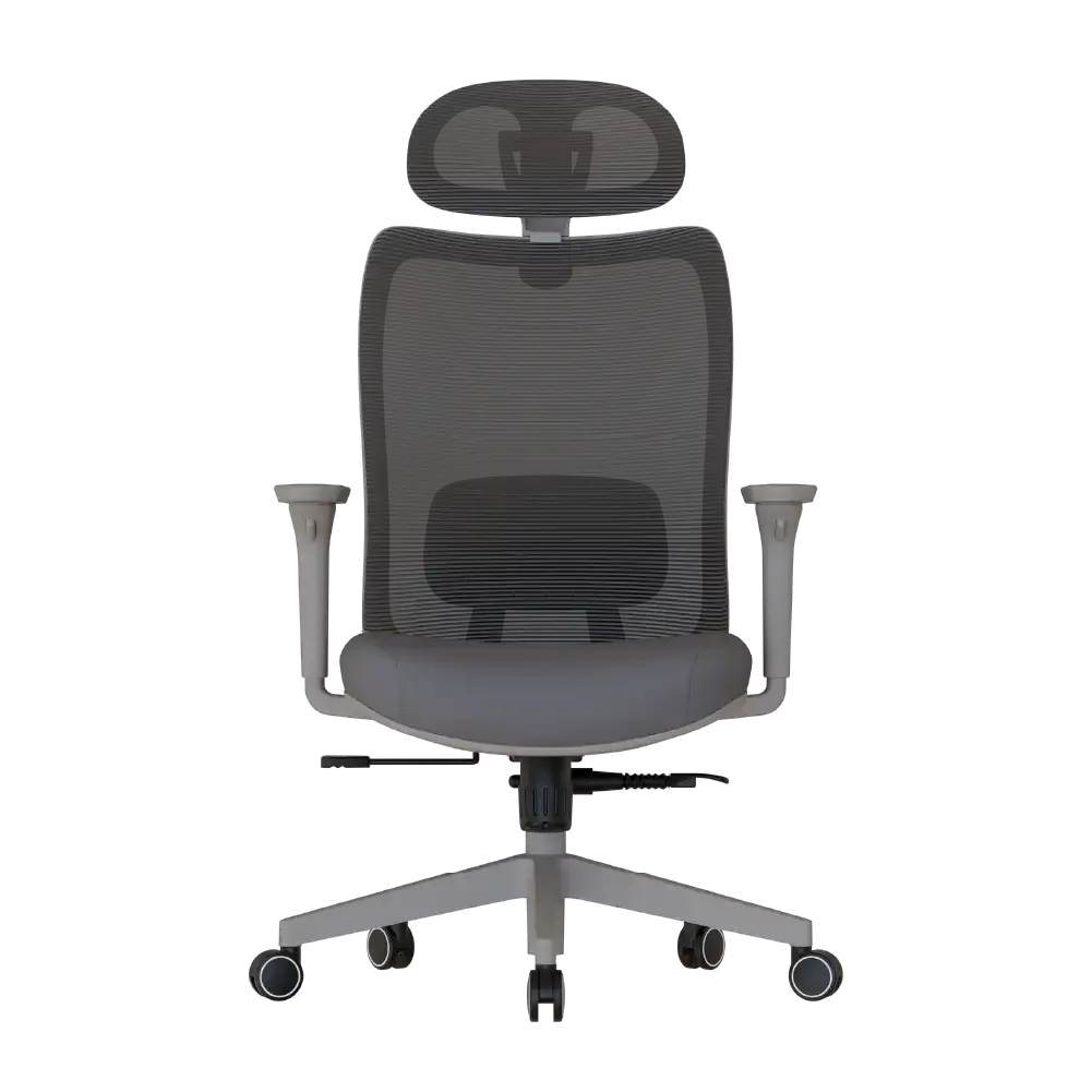 Cadeira Ergonômica Elements Astra Pro